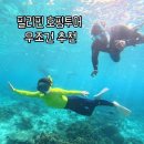 개놀자까페 | 필리핀 여행 세부 호핑투어 추천 팁 놀자호핑