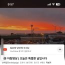 두채사랑 전주콩나물 국밥 | 편평사마귀와 함께한 11월 4째주 뜨위씌🥺 ㅠ