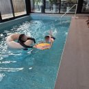 파인센트 풀빌라 펜션 이미지