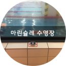 마린슐레 이미지