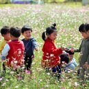 흥남어린이집 이미지