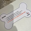 왈가왈부애견 네이버블로그