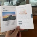 (일상) 야 눈 왔냐? 2025 태백산 첫 눈꽃 산행 및 식사 추천 후기