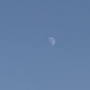 청송분식 이미지