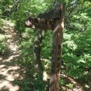 양서체육공원 이미지