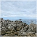 요아정 | 강릉 주문진 해안가의 힐링 카페 요아정 방문 후기