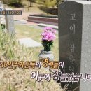 5.18 광주 민주화운동 당시 계엄군에게 학살 당한 11살 어린이 이미지