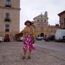 솔가지목장 이미지