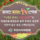 광려천 힐링산책로 이미지