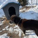 나주볼테기 이미지