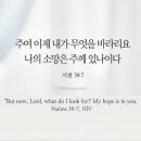 오늘의 &#39;영어성경 사진&#39;(443강) “나의 희망이신 하나님”(시편 39편 7절) 이미지