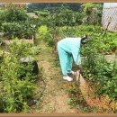 운주산성요양병원 이미지