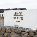 코지갯 스테이 이미지