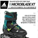 지도인라인경기장 네이버블로그