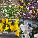 논산 부창동 성당 이미지