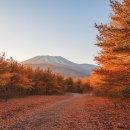 한라산 선작지왓 | 제주 한라산 국가지질공원, 감성 가득했던 솔직 후기