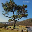 빵순돌이네 하우스 이미지