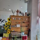 J헤어샾 - 마포구 | J헤어샾