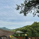 광양봉강캠핑하우스 | 전남 광양 계곡 캠핑장 숲내음에머물다 사이트 소개