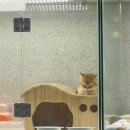 세계사를 알면 영화와 여행이 재밌다 | 25.05