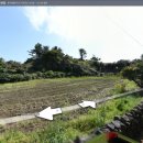 난산보건진료소 이미지