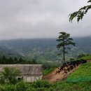 화순수만리염소탕 이미지