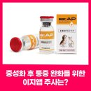 AP 동물병원 | 상계동 강아지 중성화 후 통증 완화를 위한 이지앱 주사는?