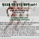 왕초보를 위한 움직임 해부학 part-1 (14.09.23 화요일 오후 8시 개강) 이미지