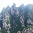 그루터기 이미지