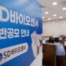 에스디글로벌(주)