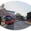 동촌초등학교