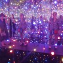 박물관횟집 이미지