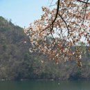 대청호카페 금린 이미지