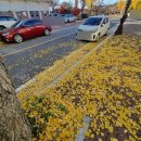 불국동주민자치센터 이미지