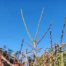 신 왕돌회식당 | 울진 대게 가격과 추천 식당 "신 왕돌회센터", 주변 가볼만한 곳