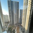 레이카운티 도전태권도 이미지