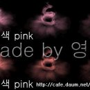 핑크홀리 이미지