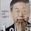 바오 이미지