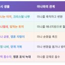 오니아 이미지