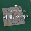 이세움 치과의원 | 매복 사랑니 발치 생생후기 및 총정리(비용, 통증, 붓기, 시간, 식사)