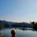 옥천(상)차량정비소 | 옥천 힐링터 능이닭백숙 야관문 향 가득한 보양식의 정석