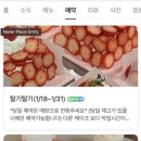 플디케이크샵 이미지