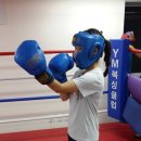 YM복싱클럽 이미지