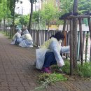 안산대학로 이미지