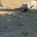 신북골프연습장 이미지