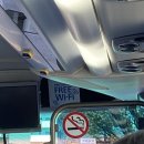 삭스리타운 | 혼자서 히로시마(1일차): 나폴리탄, 원폭돔, 애니메이트, 북오프