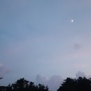 소낭숲 딱따구리 이미지