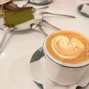 망고&체리 애견샵 이미지