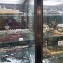 TAMIYA 빌딩 | 양재타미야 다녀온 후기 입니다(우리는챔피언미니카+서초면옥)