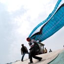 버드스쿨 이미지